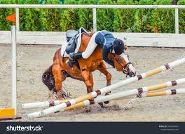 障害前で馬が飛越を虚子し落馬するシーン