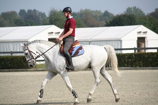 葦毛馬による左軽速歩