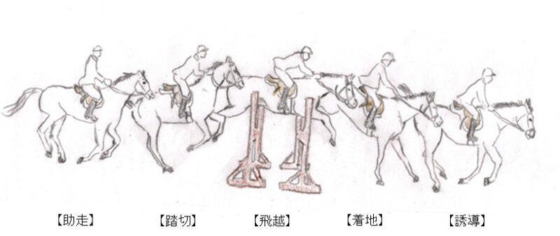 アリーナに配置された障害物を誘導⇒助走⇒踏切⇒飛越⇒着地⇒誘導といった流れ