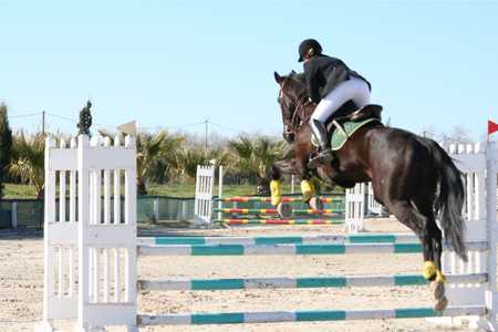 垂直障害を飛越する人馬を背後から撮った写真です。