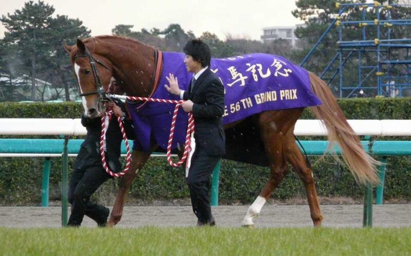 2011年12月25日、有馬記念表彰式の時のオルフェーヴルで、有馬記念優勝馬着を着て引き馬されてます。