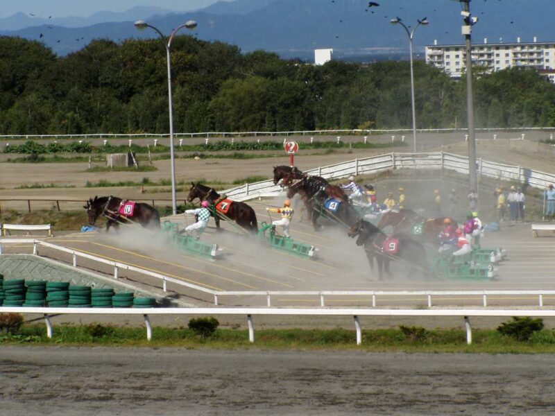 砂煙を上げて坂道を登る馬たちです。