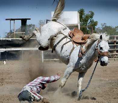 葦毛の馬が跳ねて落馬したシーン