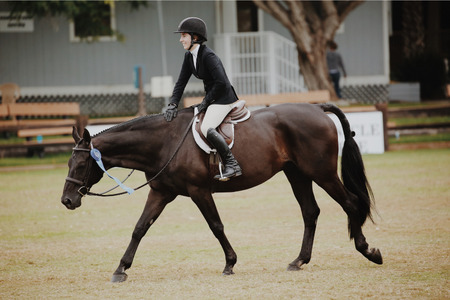 頭絡にロゼットをつけた馬に騎乗する少女が馬に愛撫している