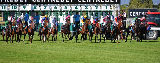 競馬のスタートシーン