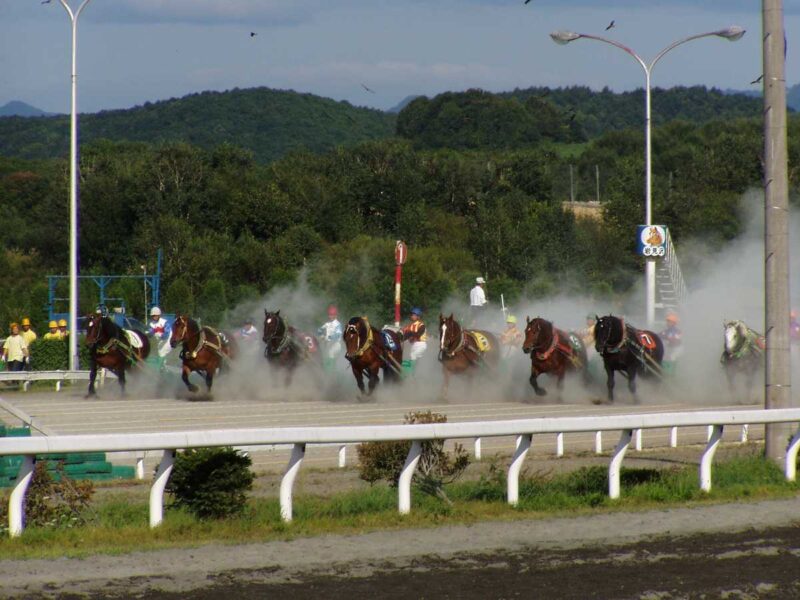 第１障害を越えた馬たちの光景