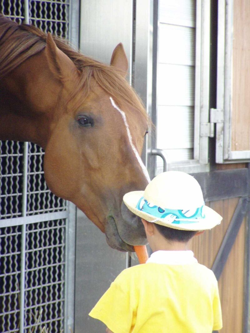 ラムタラにニンジンを上げる子供