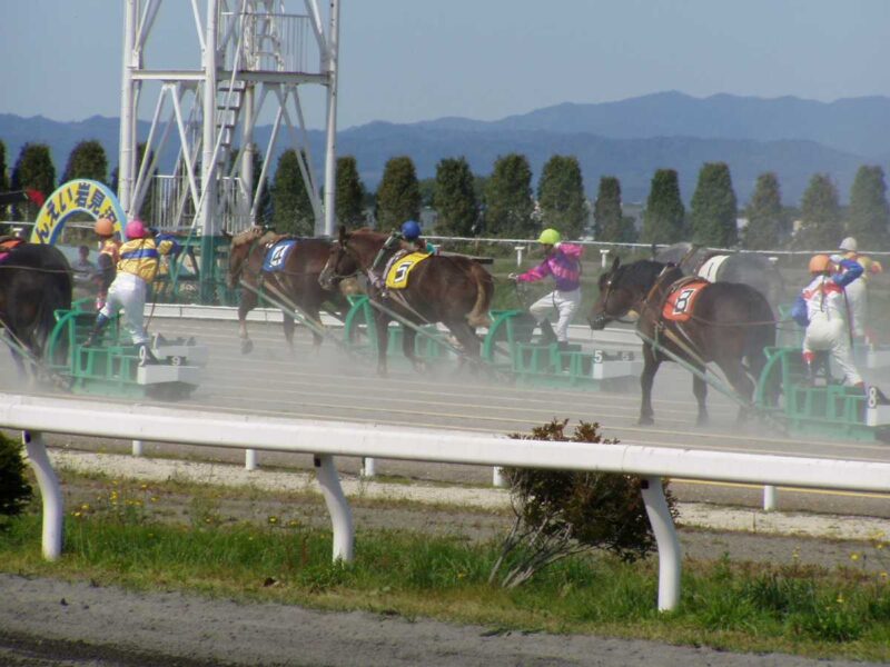 手綱で馬を促す騎手