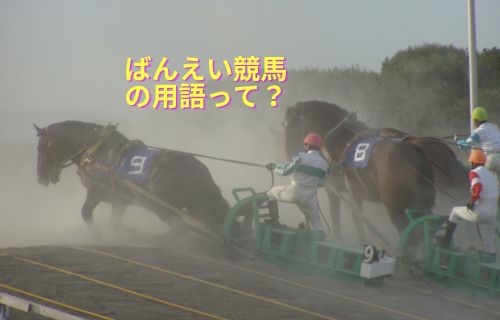 第1障害を上がる２頭の馬と騎手